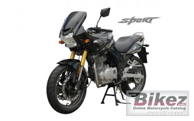 2013 Qingqi Sport QM250-2D photo